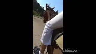 Алматы. Медео .Кок-Тюбе. Ботанический сад.  парк 1 президента .26-27 июля 2023.