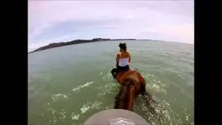 Horses swimming at the beach at Okura, New Zealand - GoPro Hero 3+!