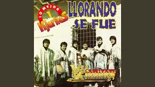 El Picaflor