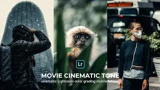 Movie Lightroom Presets | Cinematic Lightroom mobile tutorial 