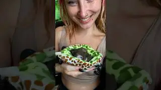 Ясли в Ekzomania ☺️ 