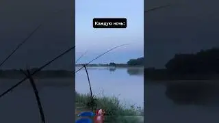 Настоящий рыбак поймёт о чём идёт речь.