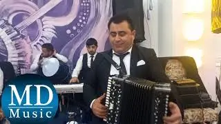 Rafiq Abdullayev & Ozan Ansabili Solo ifa Goycay Toyu Zeyneb Saray