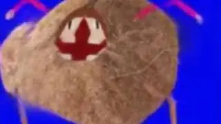 cocococo