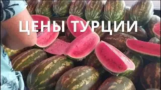 Я обалдел от ЦЕН в Турции 2021