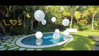 PalmBeachBalloons.com - Premier South Florida Helium Balloon Delivery, Bouquets, & Event Decorating