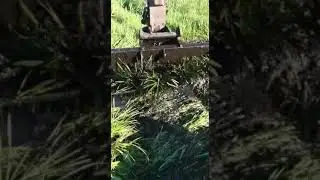 Толстый!)))