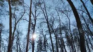 Прогулка по зимнему парку(конец февраля 2024 года)