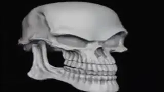 прок