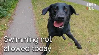 78. Algae stops my lab swimming, I pass Willington & Burton on Narrowboat