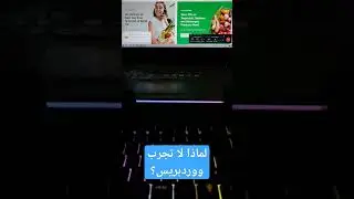 لماذا ستحتاج الى تجربة ووردبريس ؟