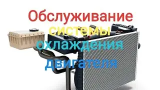 Система охлаждения: Личный опыт и советы по обслуживанию