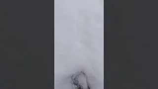 Пушистый снег, снежок ❄❄❄