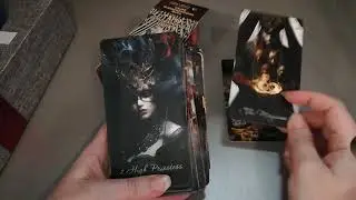 Новинка! Таро Венецианского цирка от Елены Токаревой и издательства Аввалон-Ло Скарабео.