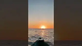 Number 8. Top 10 clips from the community. Australian sunrise live on Twitch. #australianbeach