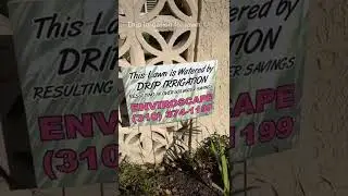 Save over 50% water in your lawn