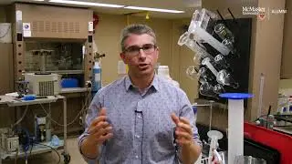 Answering Alumni Questions | Are vitamins and supplements good or bad for you?