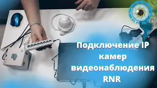 Подключение ip камер видеонаблюдения RNR 