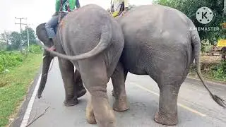 อุ้มเดินไม่ออก น้องมิ่งร้องทำไม
