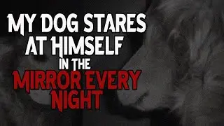 My dog stares at himself in the mirror every night by ifoundthishumerus89 | Short Scary Stories