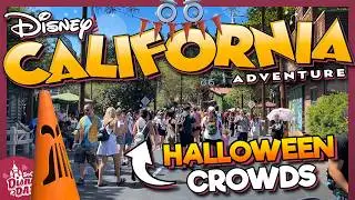 How CROWDED is Disney California Adventure for Halloween 2024?