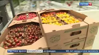 «ВЕСТИ Сочи» про День открытых дверей в центре Гавриш