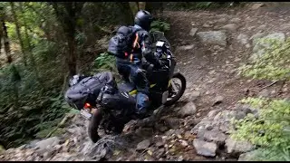 Tourist Takes 900CC Bike Through Bush Track 📽🏍✔️
