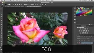 Adobe Photoshop 