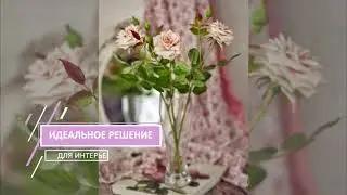 альфа канал самопрезентация