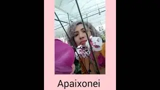 AMIGAS!!! VAMOS DE ORQUÍDEAS E SUCULENTAS HOJE.