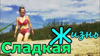 ДАМА С СОБАЧКОЙ УШЛИ СОБИРАТЬ ЗЕМЛЯНИКУ КУПАТЬСЯ И КАЙФОВАТЬ