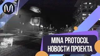 Mina Protocol crypto project review 2022 | Mina Reporting | Mina Protocol ZKP News