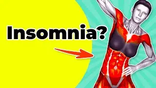 ➜ Insomnia? (Do These 10 Exercises Before Bedtime)