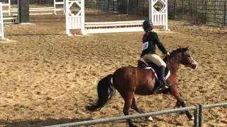 2' Class - Equitation Open Class. Excellent fly lead changes.