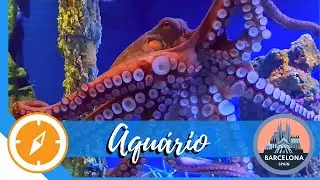 Aquario de Barcelona
