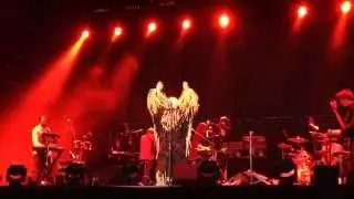 Róisín Murphy - Pure Pleasure Seeker (Moloko Tribute) // Live