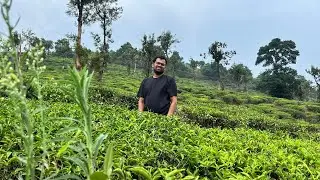Sterling Vythiri Wayand Kerala | Room tour and amenities | Review in Tamil