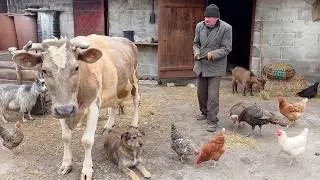 This is how elderly people live in a village located in Eastern Europe.