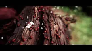 Find the Panda :: Motion Reel 2k10