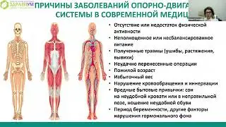 Причины заболеваний опорно-двигательной системы в современной медицине