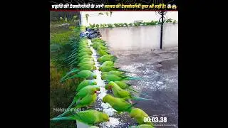 प्रकृति की टेक्नोलॉजी के आगे मानव की टेक्नोलॉजी कुछ भी नहीं है! 🤯😱