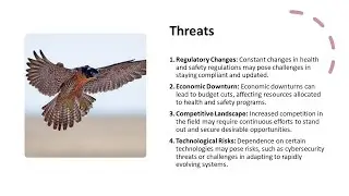 SWOT analysis