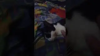 В пять