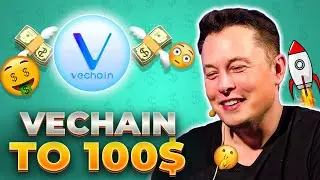 Elon Musk Predicts Vechain To Hit 100$ For THIS Reason!
