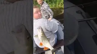 Вот это Рыбалка !!! на РЕКЕ ЖИВЁМ и РЫБАЧИМ #рыбалка #отдых #жизнь #ночевка #рыба #fishing #camping