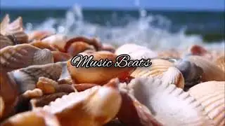 🌴Зарубежные летние хиты🌴