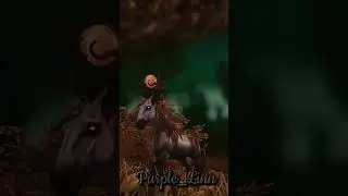 Альвира…✨ #sso #starstable #ssoedits #лошади #starstableonline #starstableonlinehorses Evil💥