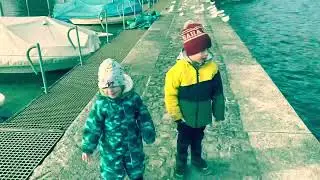 Pane per le papere