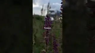 Війна - це зло ! 