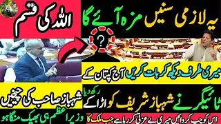 Kaptan k Tiger Ke Samne Shabaz Sharif ki Cheeky¦ Ma Abla hu Koi tabla Nahi |Baztii kr raha rok es ko